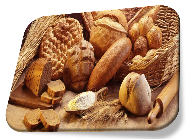 Screenshot 2025 12 08 154156