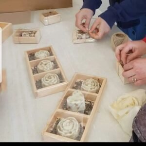 481239045 1110191151150655 1769820204349782253 N 300x300