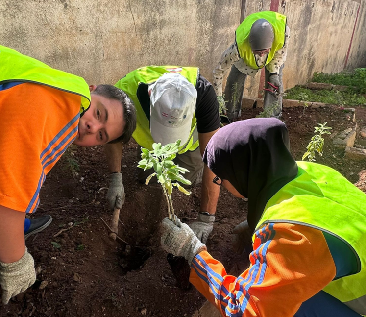 Screenshot 2026 01 03 213651